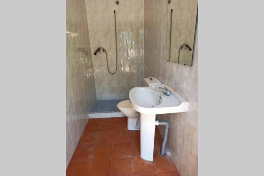 Villa Rustica Privada Con Gran Chalet Y Piscina Elche Dış mekan fotoğraf